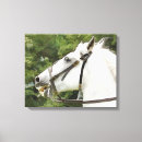 Search for horse canvas prints Animals