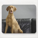Search for sofa mousepads Dog