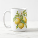 Search for realistic mugs Fruit