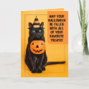 Search for funny witch card halloween halloween cards Cat