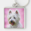 Search for yorkie key rings Pets