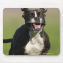 Search for exciting mousepads Humour