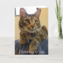 Search for adopt a pet cards Shelter