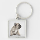 Search for pedigree key rings Dog