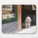 Search for poodle mousepads Adorable