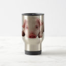 Search for baby pig mugs Piggy