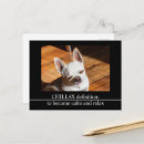 Search for funny dog picture postcards Adorable