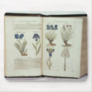 Search for herbal electronics Plant