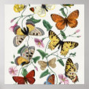 Search for retro mug posters Antique