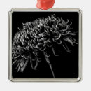 Search for petals christmas tree decorations Nature