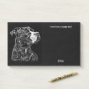 Search for pit bull terrier Dog