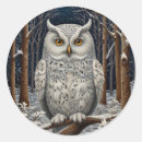 Search for winter owls stickers Bird