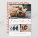 Search for three cats christmas cards Pet