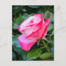 Search for nostalgia postcards Red
