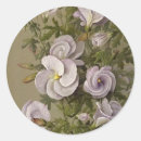 Search for purple hibiscus stickers Garden