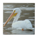 Search for pelican tiles White pelicans