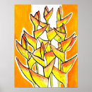 Search for heliconia posters Lobster claw