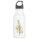 Search for “gloriosa Flora