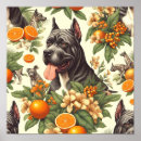 Search for cane corso art Puppy