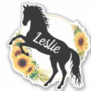Search for equine silhouette stickers Pony