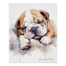 Search for sleeps posters For pets