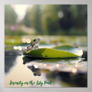 Search for pad posters Water lily
