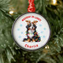 Search for bernese mountain dog christmas tree decorations Festive