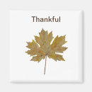 Search for maple leaf magnets Brown