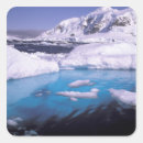 Search for antarctic stickers Glacier