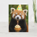 Search for red panda birthday cards Wildlife