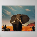 Search for elephant conservation posters Nature