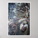 Search for tree face posters Trees