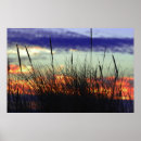 Search for marshland posters Sky