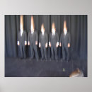Search for conceptual photography Humour