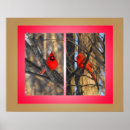 Search for cardinals in winter posters Landscape