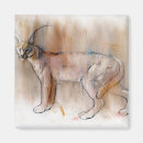 Search for wildcat magnets Feline