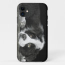 Search for pup cases Illustration