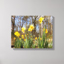 Search for yellow daffodil canvas prints Easter