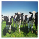 Search for farm animal tiles Agriculture