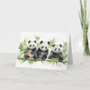 Search for panda bear birthday cards Bamboo