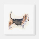 Search for bassets magnets Puppies