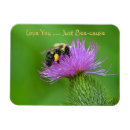 Search for causes magnets Cute