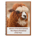 Search for alpaca notebooks Llama
