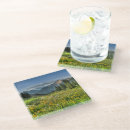 Search for colorado coasters Rocky mountains