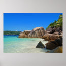 Search for cover posters Nature