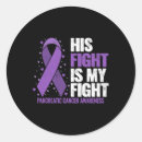 Search for pancreatic cancer awareness stickers Survivor