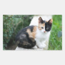 Search for cat shape stickers Feline