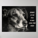 Search for cute dog sayings posters Quote