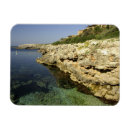 Search for minorca magnets Menorca