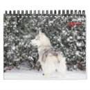 Search for love calendars Puppies